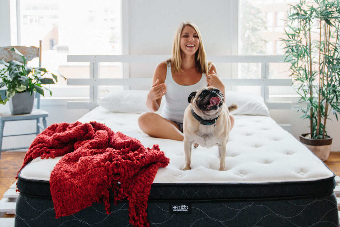 Maximizing Productivity Through Quality Sleep: The Power of Rest