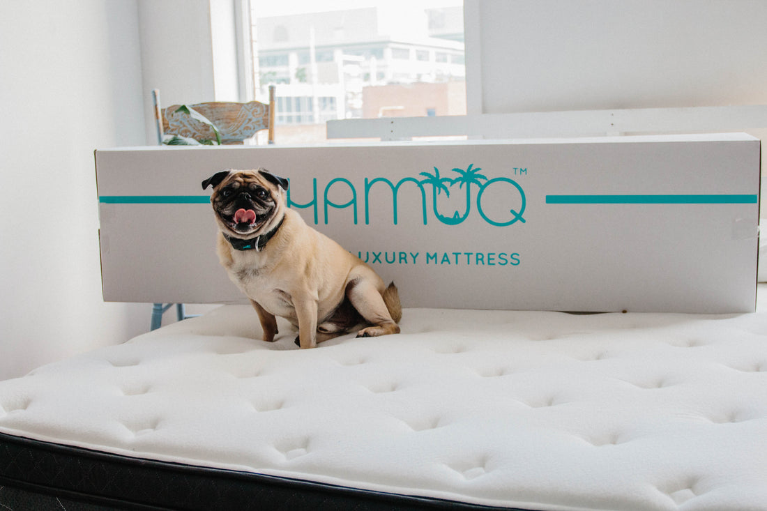 Hamuq mattress guide image for Restful Nights Begin Here: The Bed Qualities You Need for Better Sleep