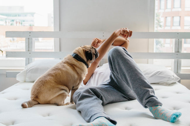 Hamuq mattress guide image for 10 Essential Tips for a Restful Night's Sleep